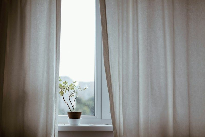 Fenêtre aux rideaux clairs et petite plante dans la lumière du matin