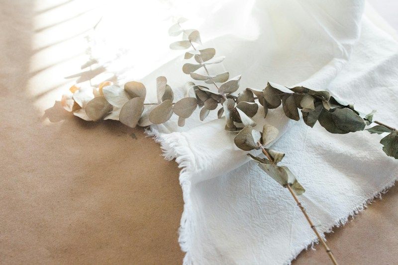 Linge de lin blanc et branche d'eucalyptus posés sur du papier kraft